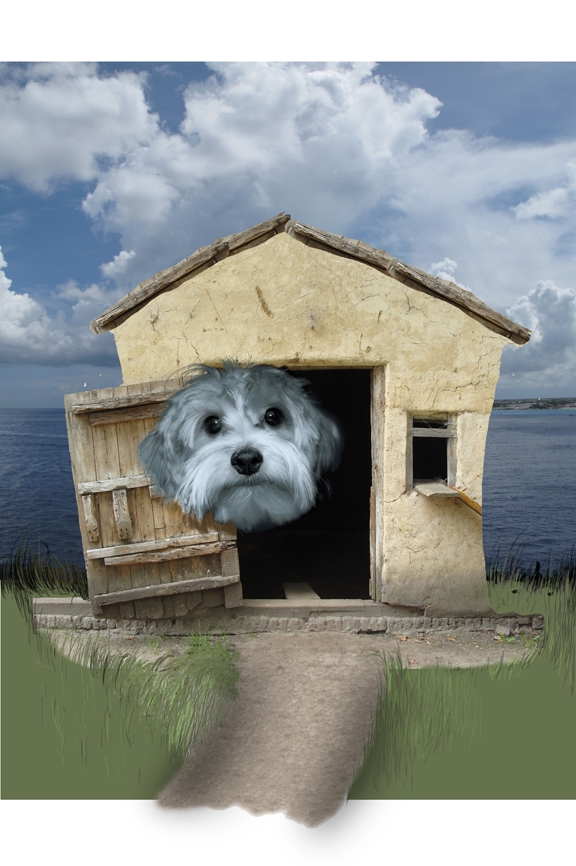 Creation of My House: Step 8